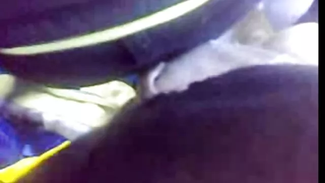 פורנו לוהט, ללא רישום.  קוואליר ציצי גדול ציצי ענק פרסם בלונדינית בוגרת בגב של שחקן צעיר